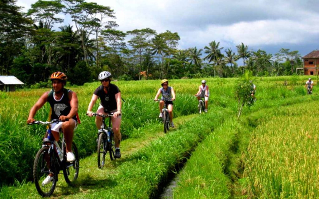 kintamani cycling tour